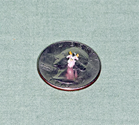 smallest cow teapot on quarter