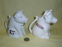 Two sitting up Australian white cow creamers