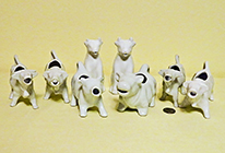 Herd of white cow creamers