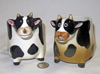 2 squarish similar cows