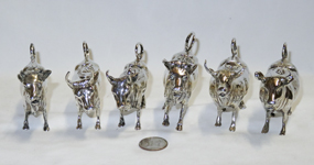 six similar cows, front